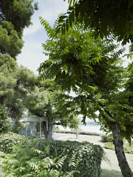 Rolf Siegenthaler Fotografie für Architeltur, Landschaft, Porträt