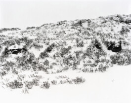 Rolf Siegenthaler Fotografie für Architeltur, Landschaft, Porträt