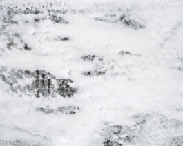 Rolf Siegenthaler Fotografie für Architeltur, Landschaft, Porträt