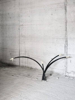 Rolf Siegenthaler Fotografie für Architeltur, Landschaft, Porträt