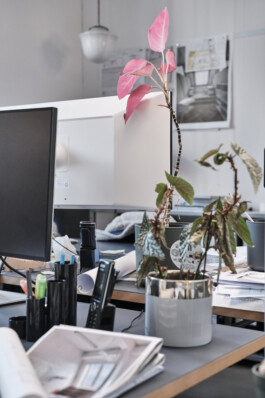 Rolf Siegenthaler Fotografie für Architeltur, Landschaft, Porträt